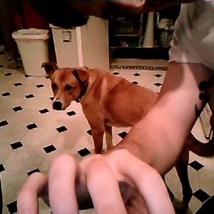 Meet your Posher, Michelle